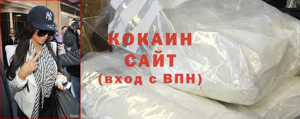 шишки Бронницы