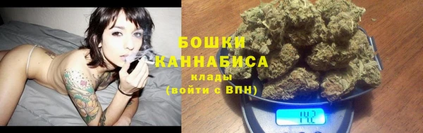 гидропоника Бородино