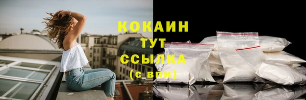 шишки Бронницы