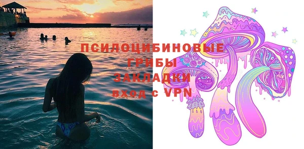 гидропоника Бородино