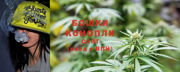 гидропоника Бородино
