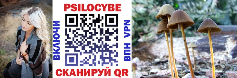 Псилоцибиновые грибы Cubensis  Купить закладки  Воткинск 
